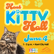 kitty hall