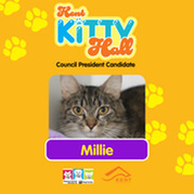 millie 