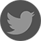 twitter link image