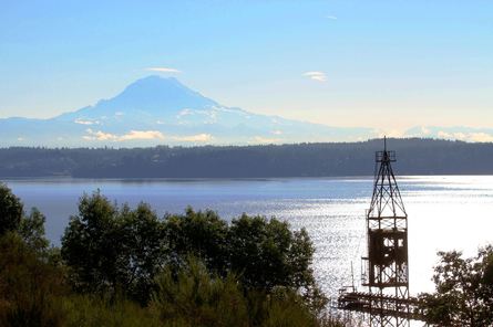 Maury Island Natural Area