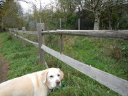 emma at tanner landing