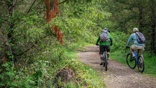 Black Diamond Open Space - Mountin bikers on trail