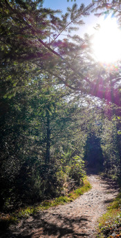 Black Diamond Open Space trail