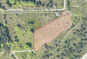 Maury Island Natural Area Planting