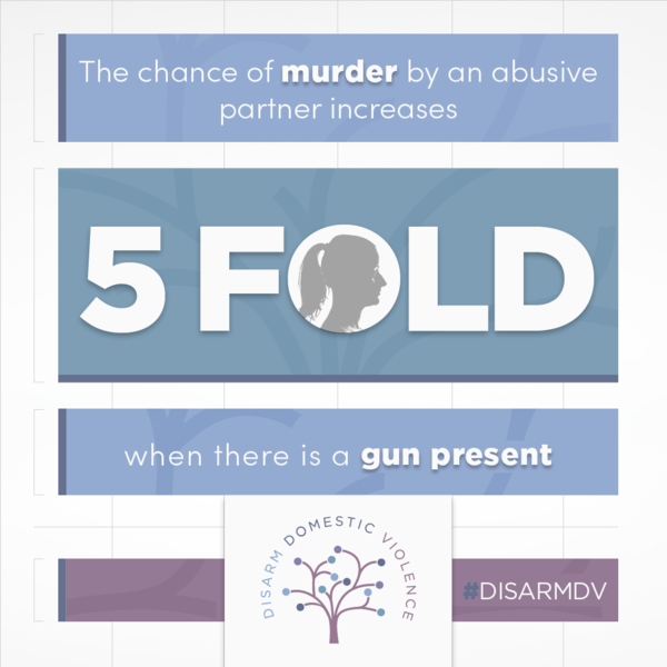 domestic violence with guns
