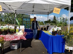 King County Noxious Weed Education Booth