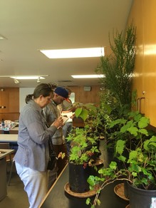 King County Weed Watcher Training Class