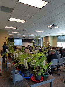 King County noxious weed workshop