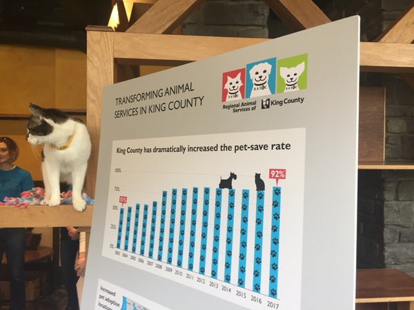 bar chart for pet save rate 2018