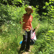 weed watcher volunteer with tansy ragwort in hand