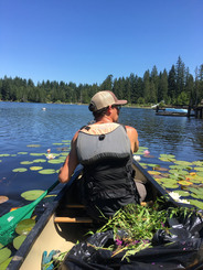 canoeing on lake looking for weeds