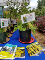 noxious weed information at a farmers market