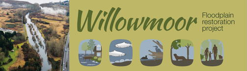Willowmoor Floodplain Restoration Project header