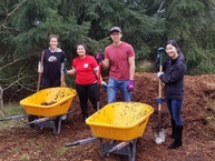 volunteers and wheelbarrow at marymoor park