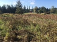 field at tolt macdonald park