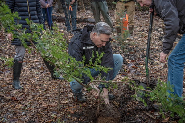 Restoring salmon habitat