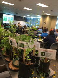 Noxious weed workshop