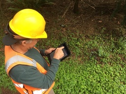 Reporting a weed using a mobile device