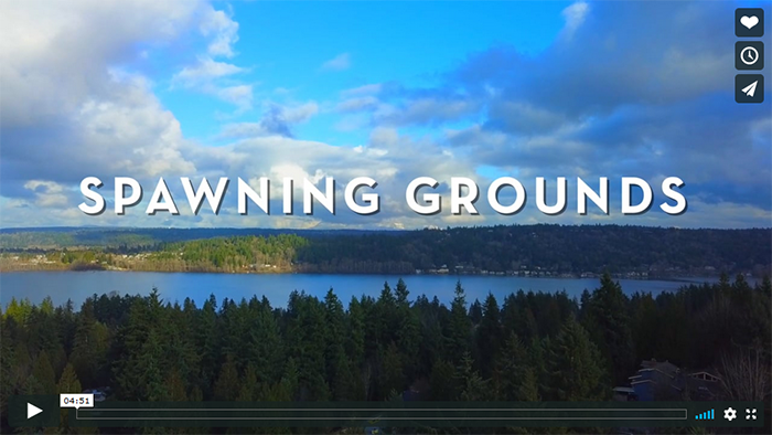 Spawning Grounds Video Trailer