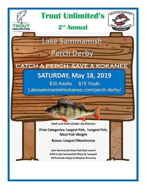 2nd Annual Lake Sammamish Perch Derby, May 18, 2019