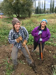 volunteers digging at Tolt park