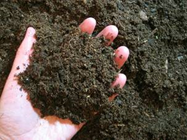 The Foundation of Your Yard:  The dirt on soil, compost, and mulch