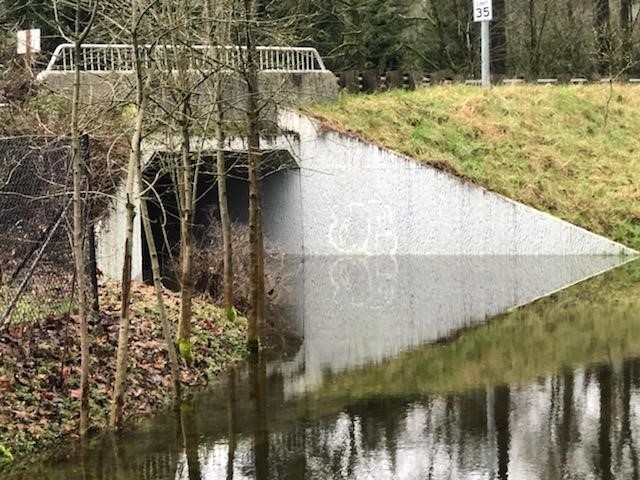 image of the Cedar River Trail flooded at the 154th Pl Se tunnel