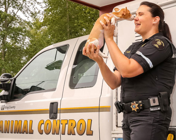 Animal control officer holding small dog