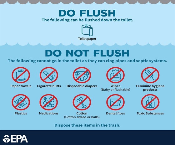 Do's and Don'ts graphic for flushing