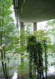 The underside of Judd Creek Bridge