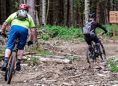 Bike riders at Dockton Forest