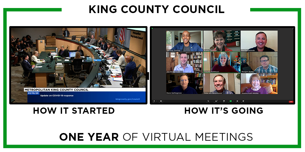 One Year of Virtual Council Meetings