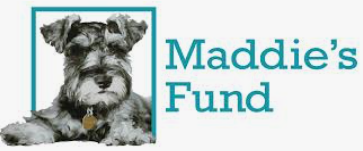 Maddie's fund