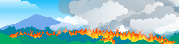 Wildfire illustration