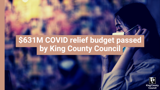 council passes budget graphic