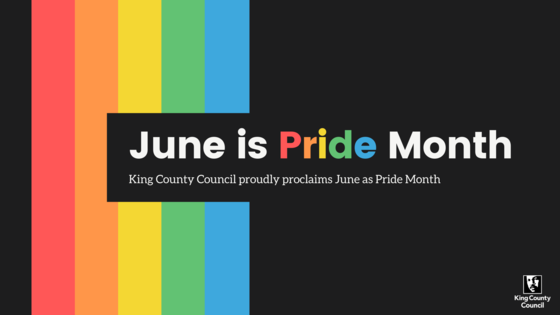 graphic -KC Council pride procla