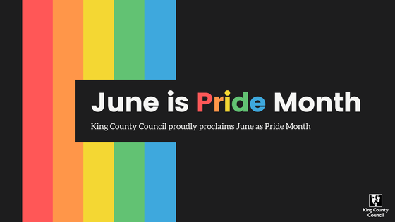 Council pride graphic