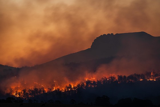 wildfire - Photo by Matt Palmer on Unsplash