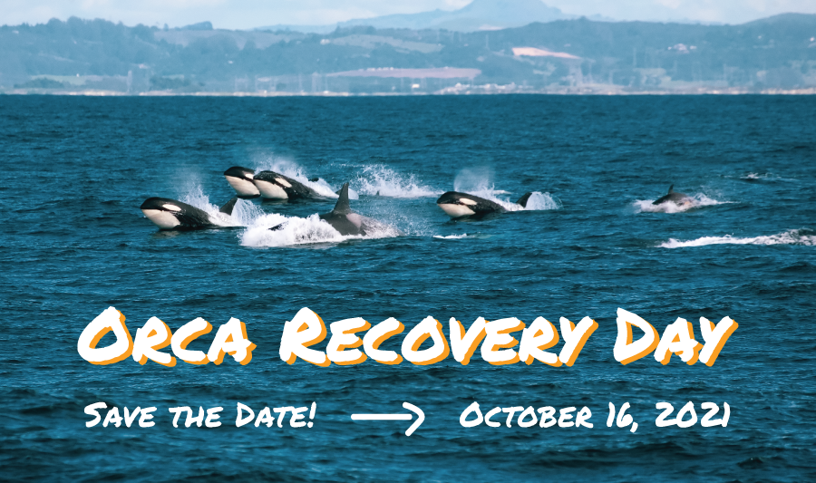 orca recovery day