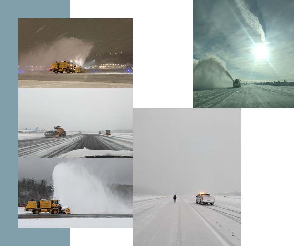 snow collage