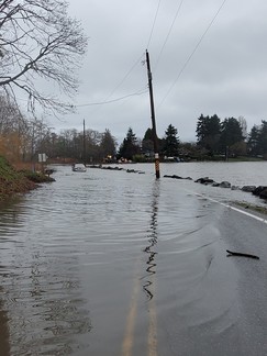 King Tides on Vashon Island