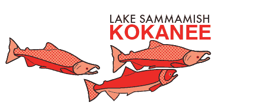 Kokanee salmon recovery
