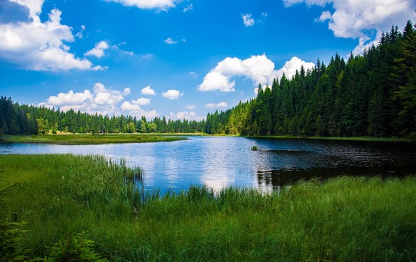 lake and forest landscape