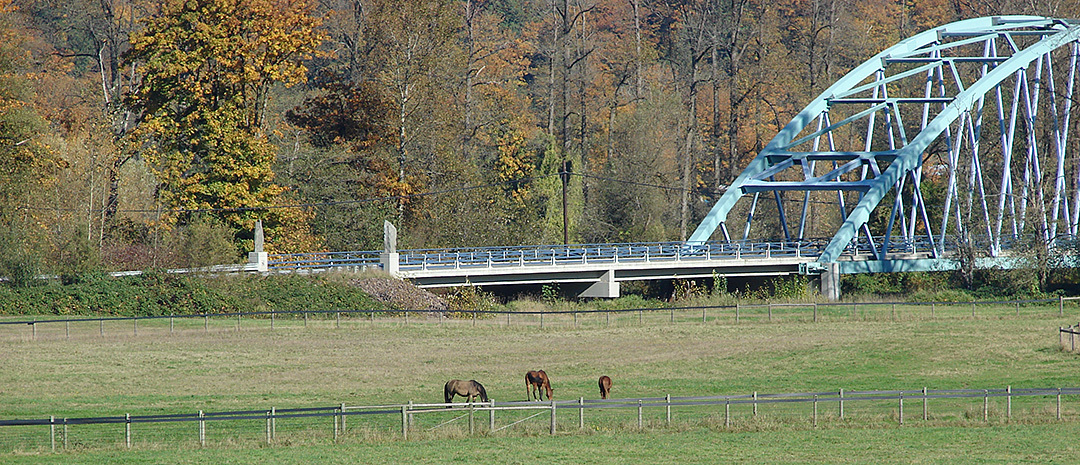 Horse pasture, bridge, and trees