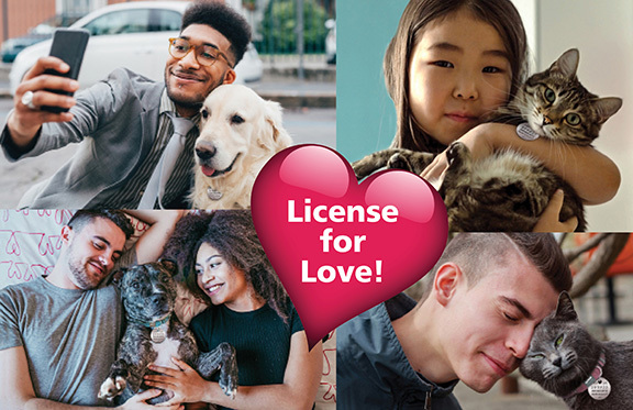 License for Love!