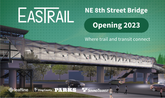 Rendering of the NE 8th street bridge 