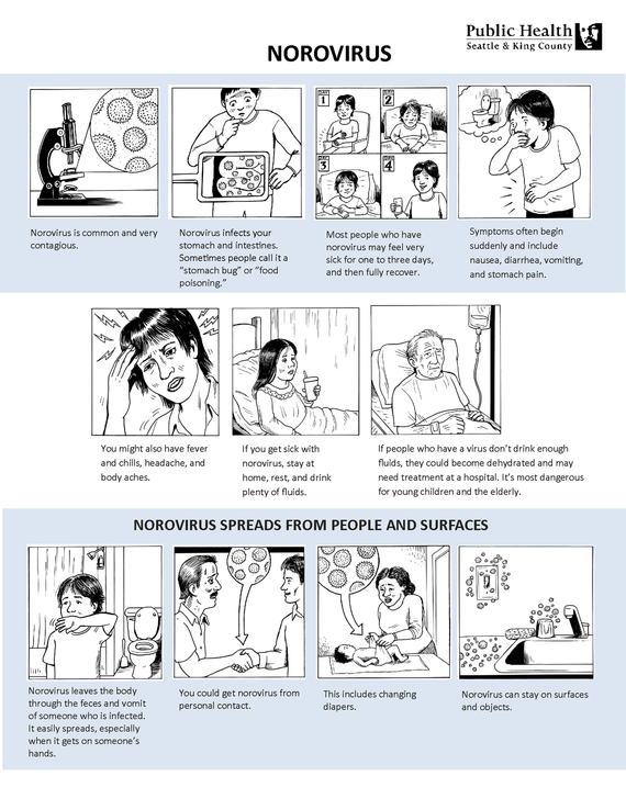 norovirus-like illness page 1