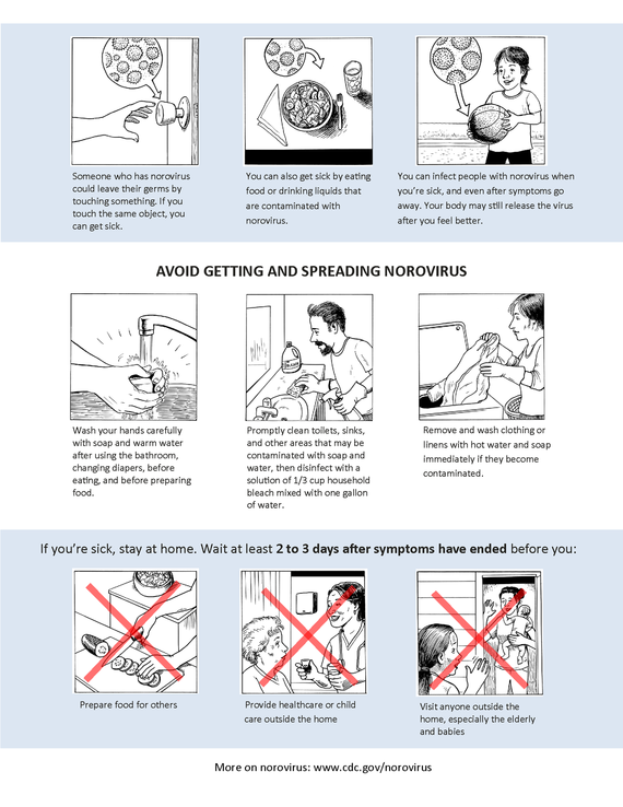 norovirus-like illness page 2