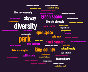Word cloud of top answers of what respondents want to stay the same in D2; top answers are diversity, park, skyway, and green space