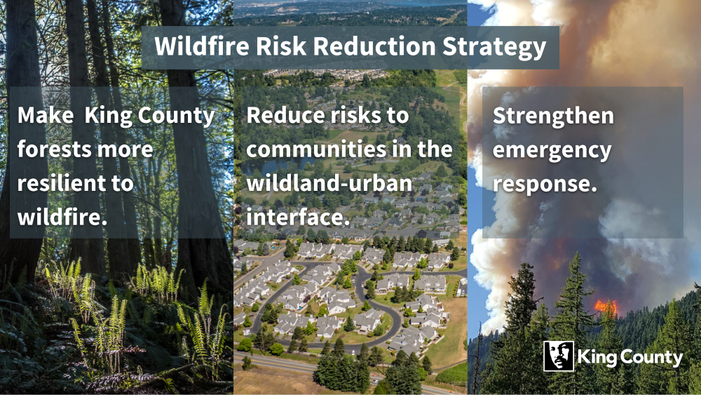 King County Wildfire Strategy